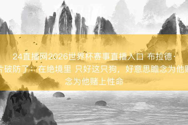 24直播网2026世界杯赛事直播入口 布拉德·皮特新片破防了：在绝境里 只好这只狗，好意思瞻念为他赌上性命