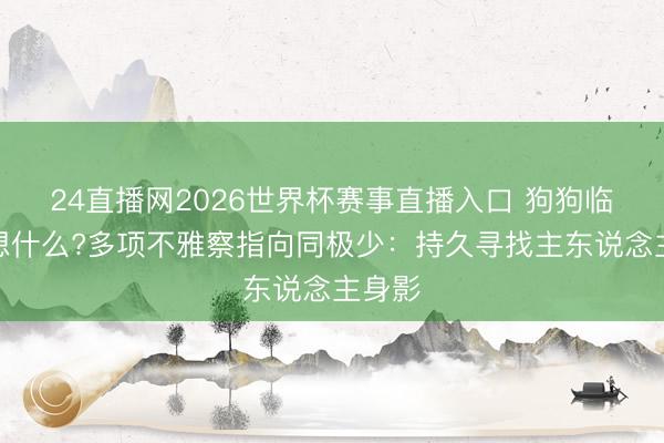 24直播网2026世界杯赛事直播入口 狗狗临终在想什么?多项不雅察指向同极少：持久寻找主东说念主身影
