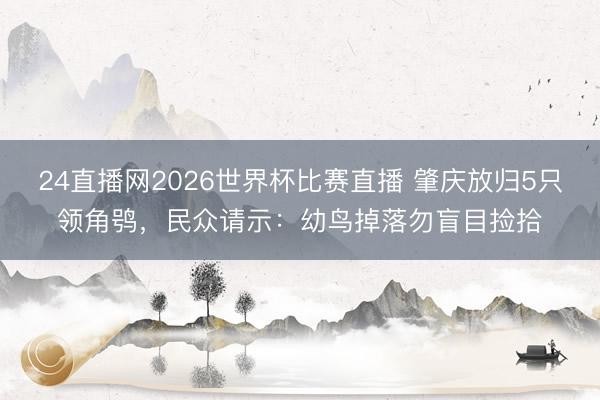 24直播网2026世界杯比赛直播 肇庆放归5只领角鸮，民众请示：幼鸟掉落勿盲目捡拾