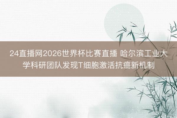 24直播网2026世界杯比赛直播 哈尔滨工业大学科研团队发现T细胞激活抗癌新机制