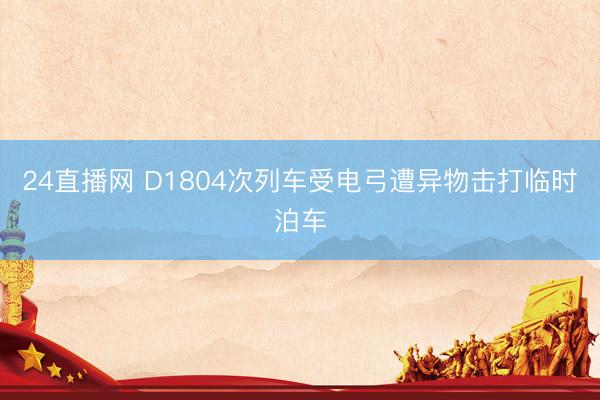 24直播网 D1804次列车受电弓遭异物击打临时泊车